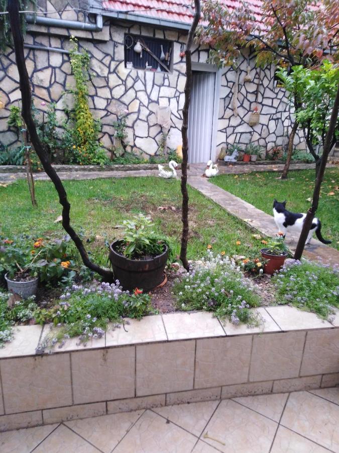 Janina Hisa Διαμέρισμα Stolac Εξωτερικό φωτογραφία